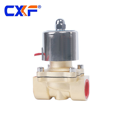 2WG Series High Temperature Resistance Solenoid Valve